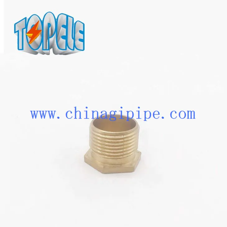 Bucha Hexagon Brass Bush